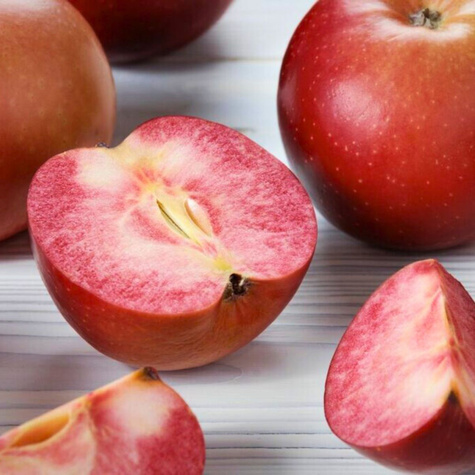 Apfelbaum Red Love - Wurzelnackte Pflanze