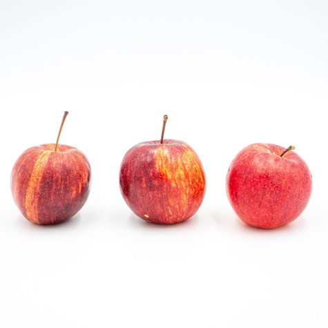 Apfelbaum Gala - Wurzelnackte Pflanze