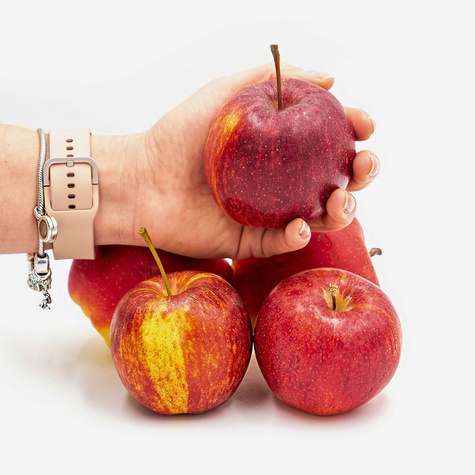 Apfelbaum Gala - Wurzelnackte Pflanze