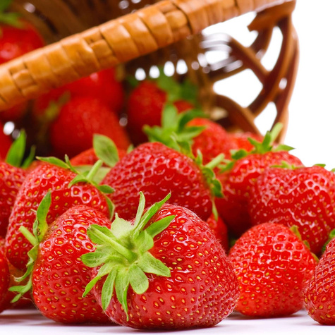 10 Stk. Erdbeerpflanze 'Florence' krankheitsresistente Erdbeere