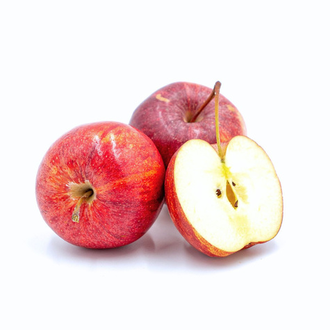 Apfelbaum Gala - Wurzelnackte Pflanze