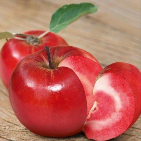 Apfelbaume typu Red Loove Obstbaum Apfel 80cm / 140cm